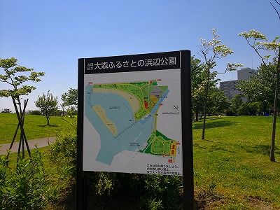 IMG_20180421_115828