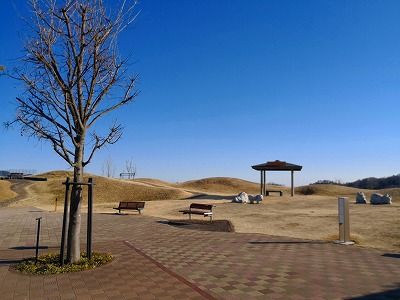 波志江沼環境ふれあい公園