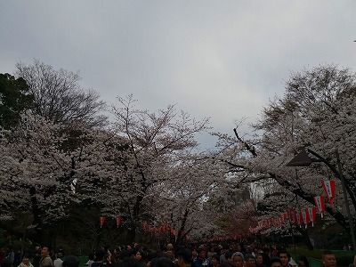 IMG_20180324_162136