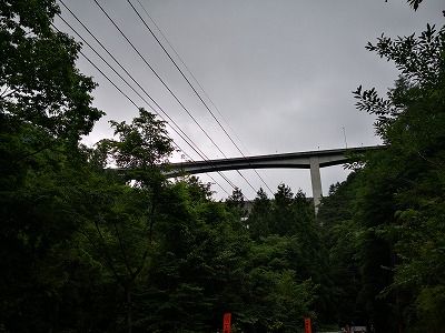 IMG_20190706_144428