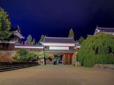 IMG_20190810_201020
