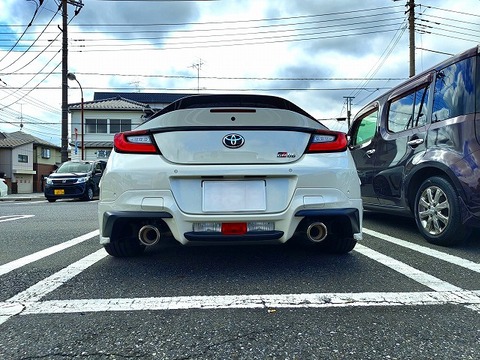 純正マフラーのスカスカな状態