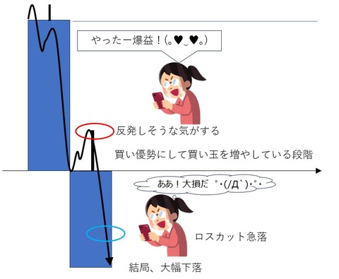 ヒゲ陰線チャート