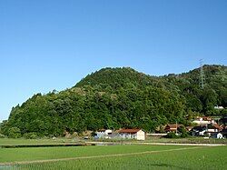 Tajihisarugake-jou01