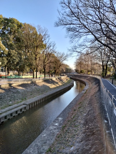 IMG20250211163240