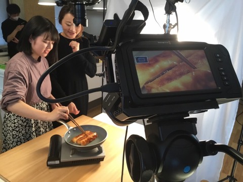 目白display