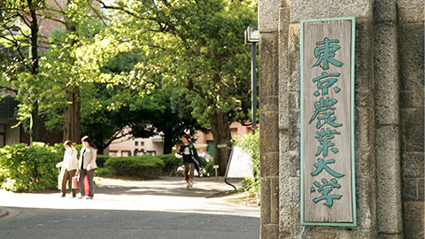 0228nodai_admission