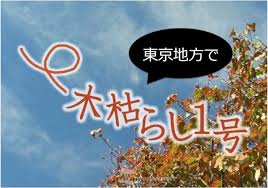 images-1