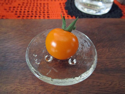 トマト 闘うおんな 菜園ブログ トマト 闘うおんな 菜園ブログ