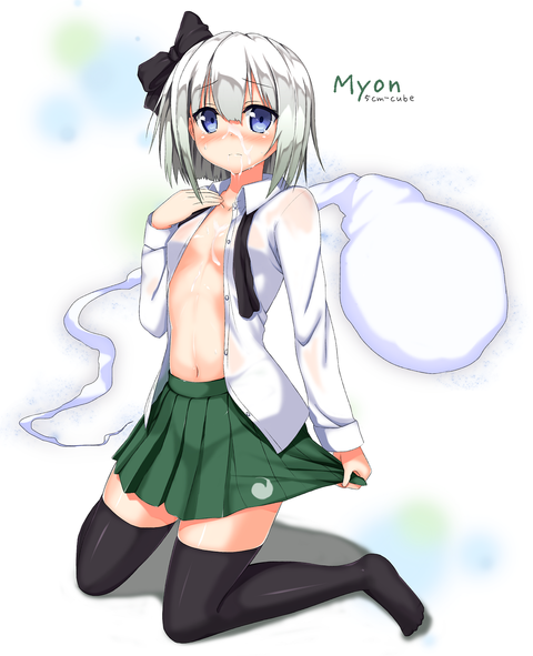 妖夢2s
