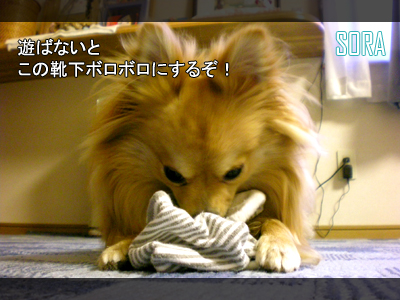オマケ