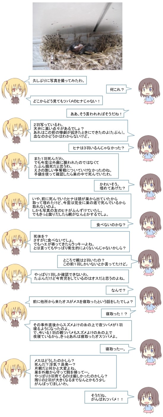 ハナたちの雑談