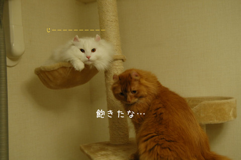 BlogPaint