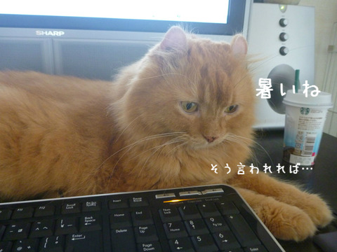 BlogPaint