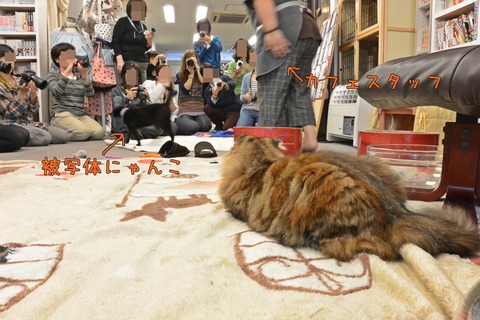 DSC_0582(1)