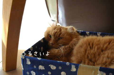 BlogPaint