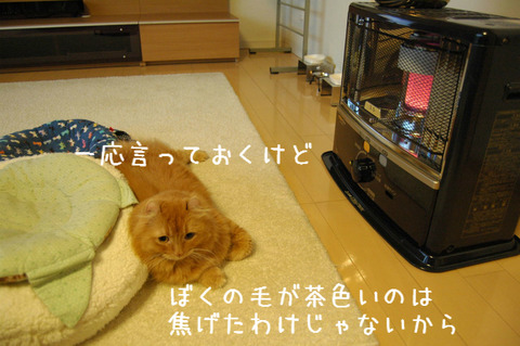 BlogPaint