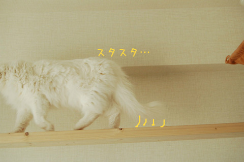BlogPaint