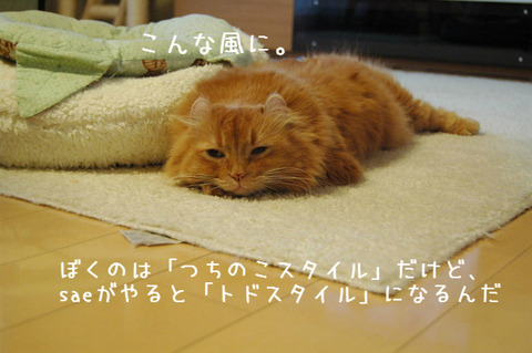 BlogPaint