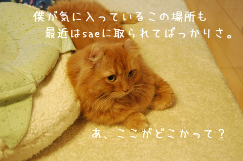BlogPaint