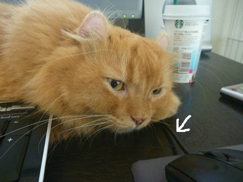 BlogPaint