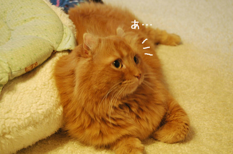 BlogPaint