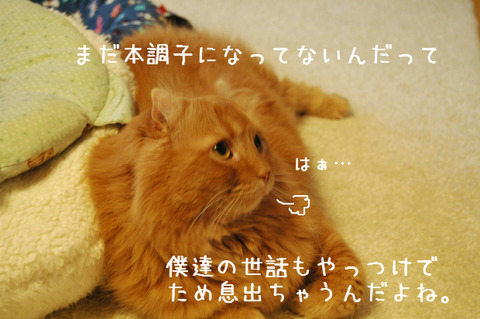 BlogPaint