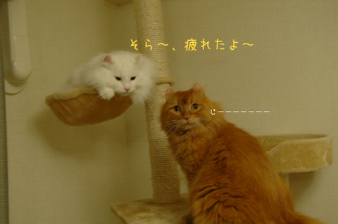 BlogPaint