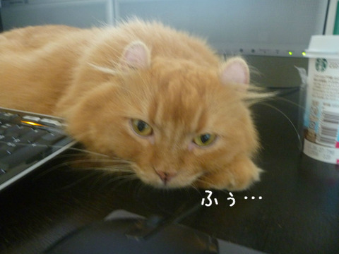 BlogPaint