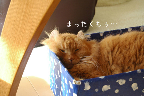 BlogPaint