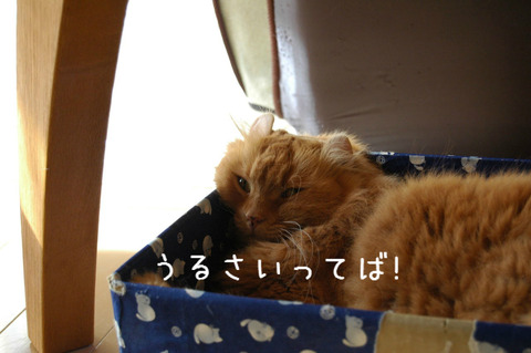 BlogPaint
