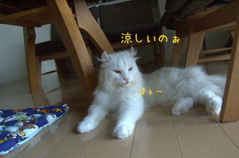 BlogPaint