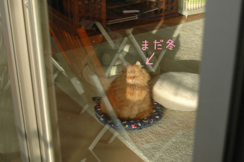 BlogPaint