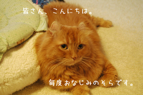BlogPaint