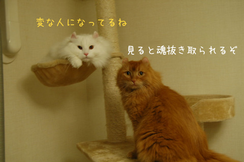 BlogPaint