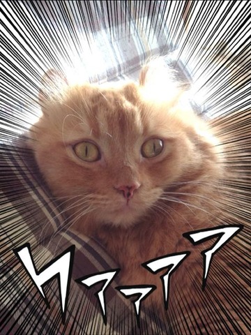 jumpcamera20131113123948