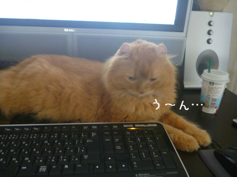 BlogPaint