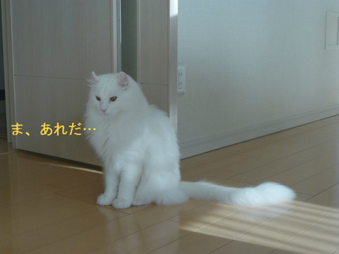 BlogPaint
