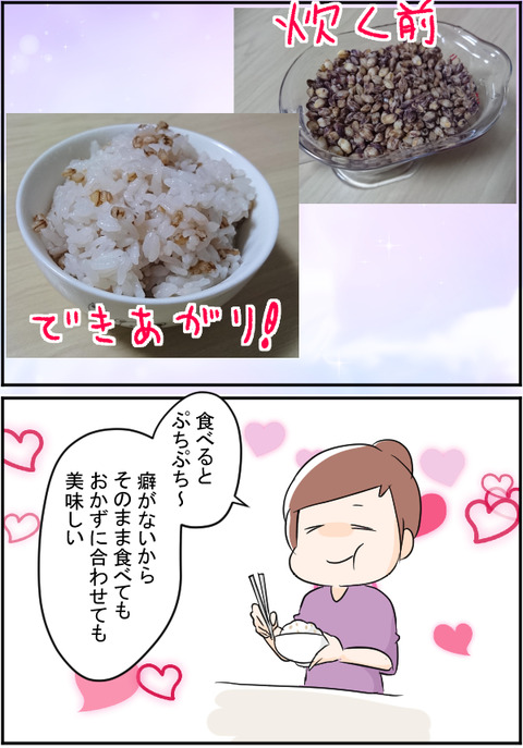 もにたこめ2
