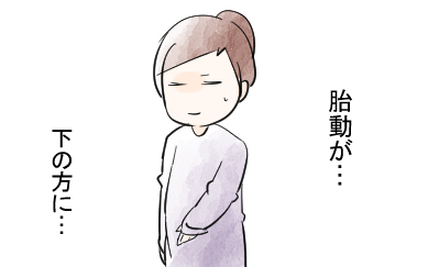 taidou