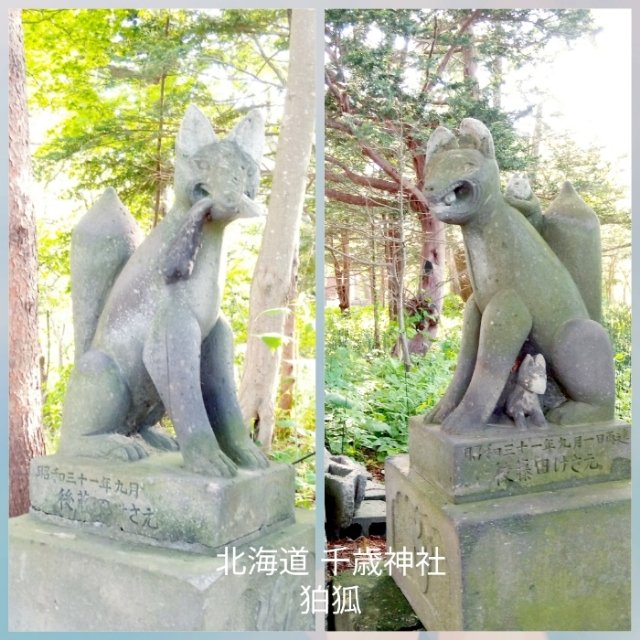 千歳神社 北海道千歳市 浪漫ちっく御朱印めぐり 神社とお寺と御朱印と