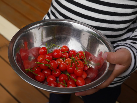 P1250069