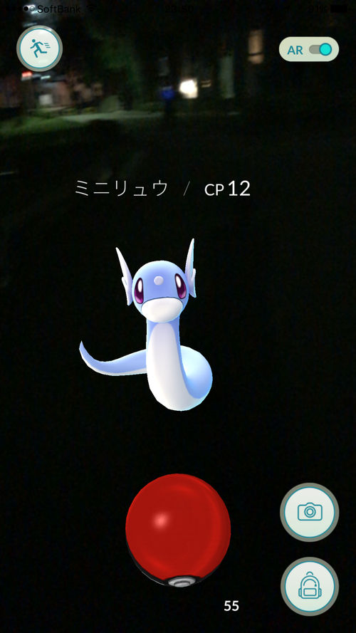 ポケモンgo ミニリュウの巣がある世田谷公園深夜でも多くのポケモントレーナーが集まり大盛況 ポケモンgo日和 攻略まとめ図鑑 ポケモンgo ミニリュウの巣がある世田谷公園深夜でも多くのポケモントレーナーが集まり大盛況 ポケモンgo日和 攻略まとめ図鑑