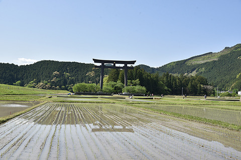 SPM_0807