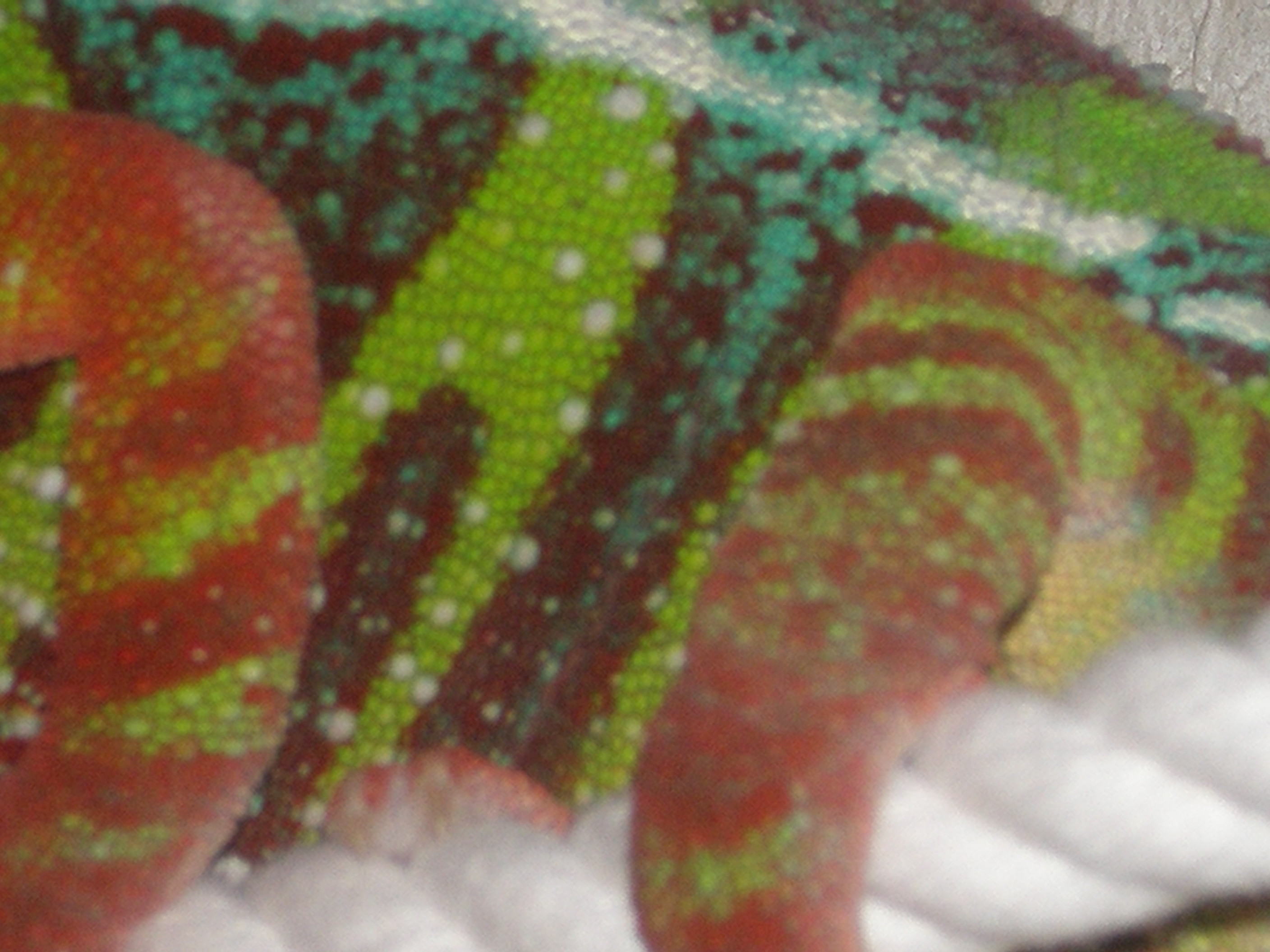 カメレオンって気持ち悪い ピシー カメレオンsoramameの成長記録