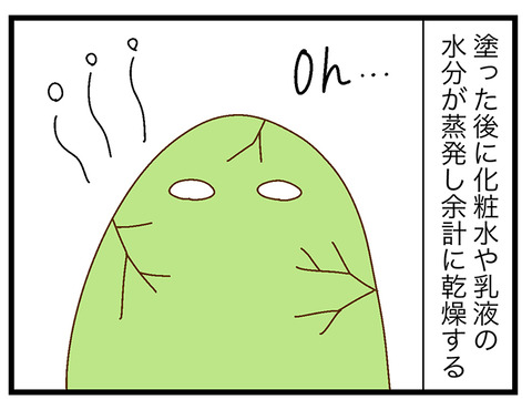 アトピーと基礎化粧品②3
