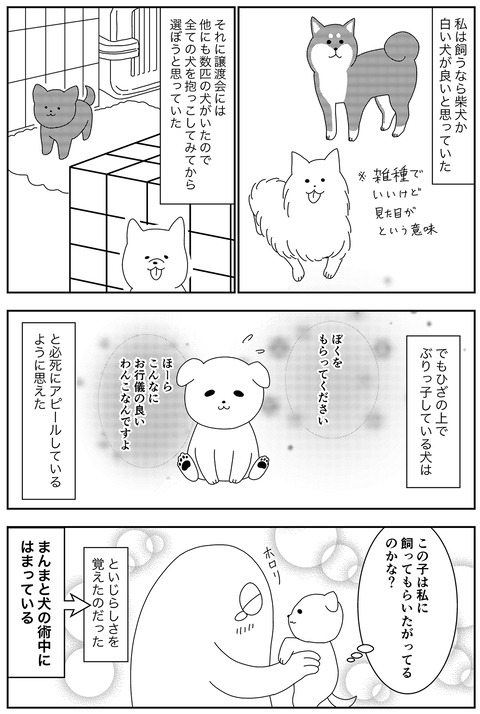 愛犬との出会い③