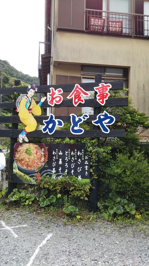 わさび丼の旅_200802_5