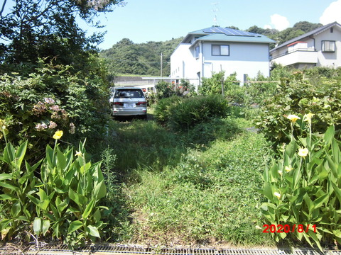 CIMG2470