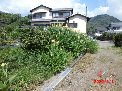 CIMG2469